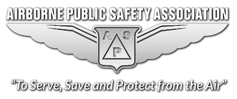 APSA Logo